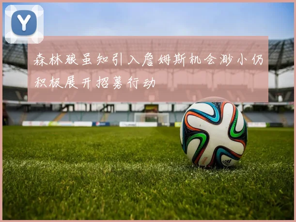 森林狼虽知引入詹姆斯机会渺小仍积极展开招募行动